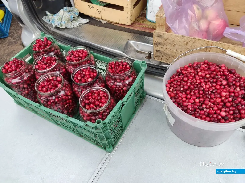 Сельскохозяйственная ярмарка на улице Алтайской. Могилев, 7.10.2023 г.