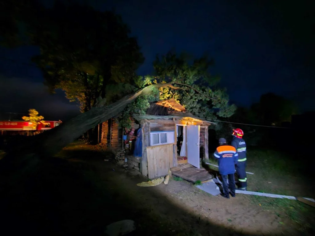 В Могилеве на улице Алтайской ветер повалил дерево на пристройку жилого дома.  Фотофакт | magilev.by