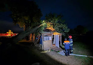 В Могилеве на улице Алтайской ветер повалил дерево на пристройку жилого дома. Фотофакт