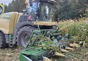 В Столбцовском районе пенсионер собирал кукурузу и попал под комбайн