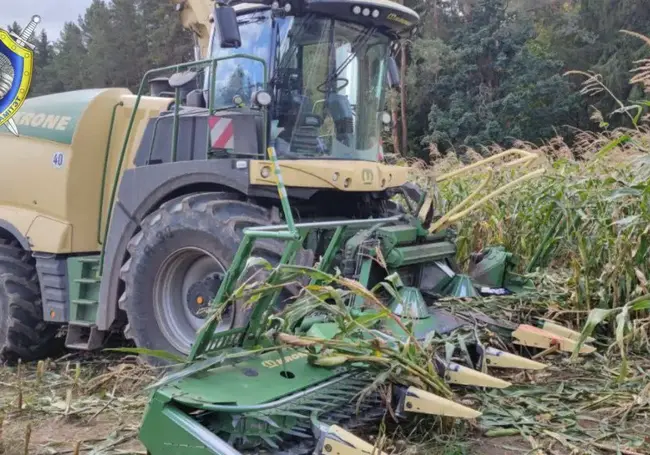 В Столбцовском районе пенсионер собирал кукурузу и попал под комбайн