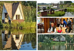 Путешествие одного дня: в полный неожиданностей экотуркомплекс «Николаевские пруды»