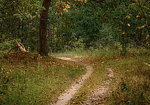 Осень приходит с дождями. Прогноз погоды на неделю с 15 по 21 сентября