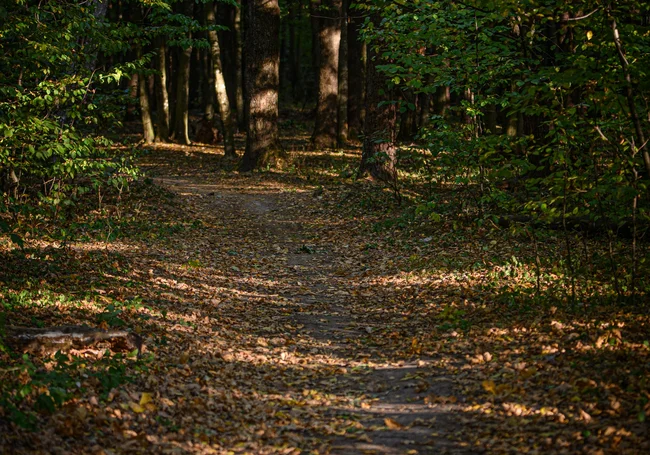 К середине недели начнется похолодание. Прогноз погоды на неделю с 22 по 28 сентября