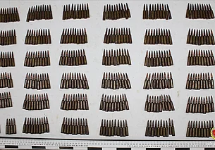 В Щучинском районе дети нашли пригодные для стрельбы патроны