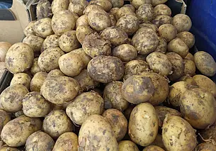 С Могилевским зоосадом можно поделиться излишками урожая со своего огорода