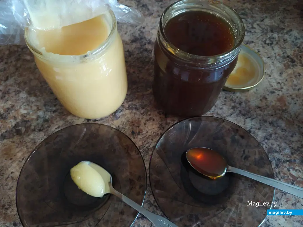 Купленный мед. Октябрь 2023 год.