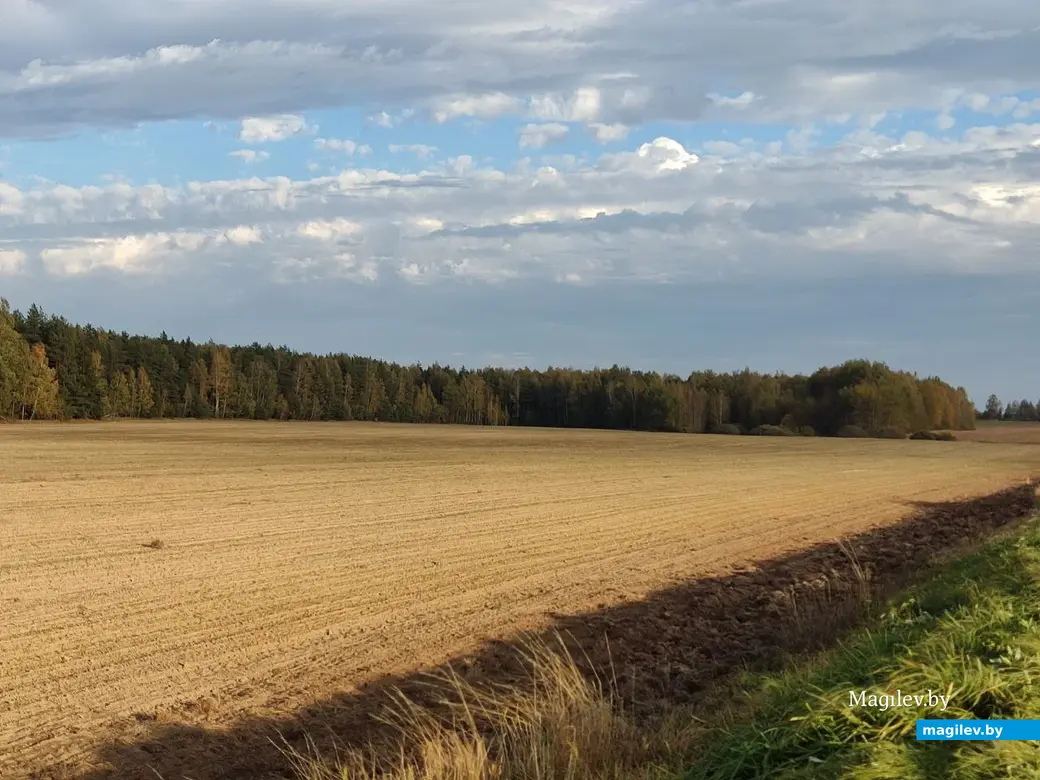 На экваторе осени. Могилевский район, 14.10.2023 г.
