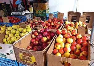 Лицензирование вывоза яблок вводится в Беларуси с 1 сентября