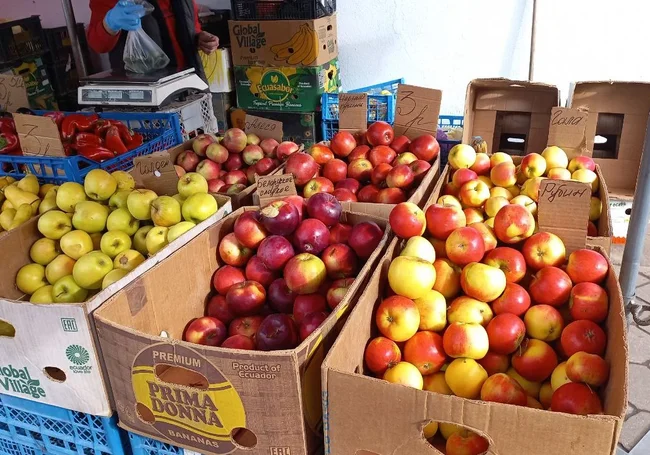 Лицензирование вывоза яблок вводится в Беларуси с 1 сентября