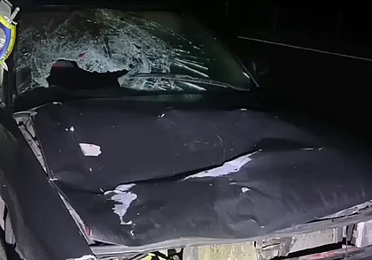 Трагедия на трассе М1: легковушка сбила двух пешеходов, один погиб (видео)