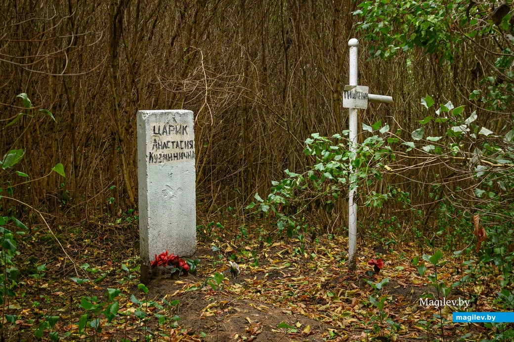 07.10.2023. Бобруйск. Заброшенное кладбище на улице Комбинатской.