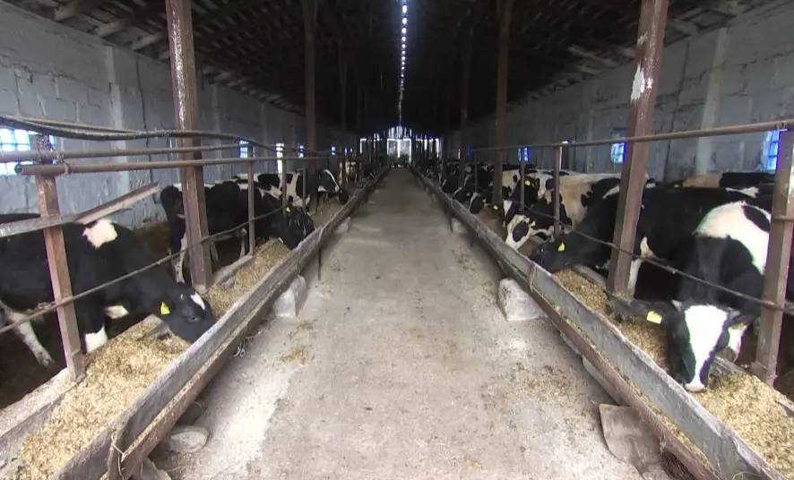 Источник фото: Генпрокуратура РБ