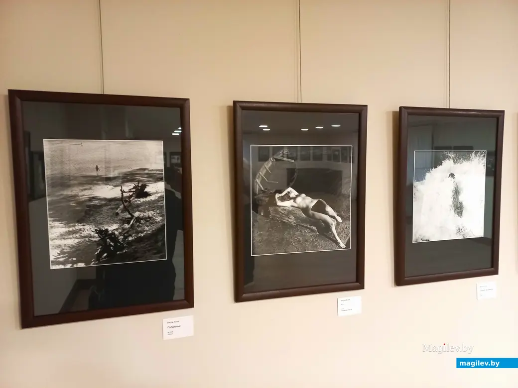 Открытие выставки Виктора Бутра. Могилев, музей Бялыницкого-Бирули, 18.10.2023 г.