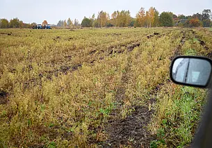 Нарушения при проведении мелиоративных работ выявила прокуратура Могилевской области