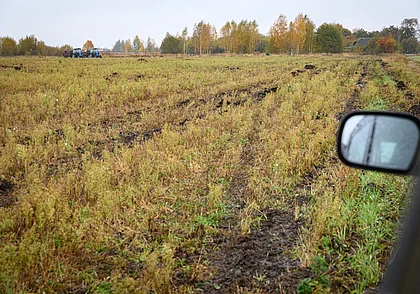 Нарушения при проведении мелиоративных работ выявила прокуратура Могилевской области