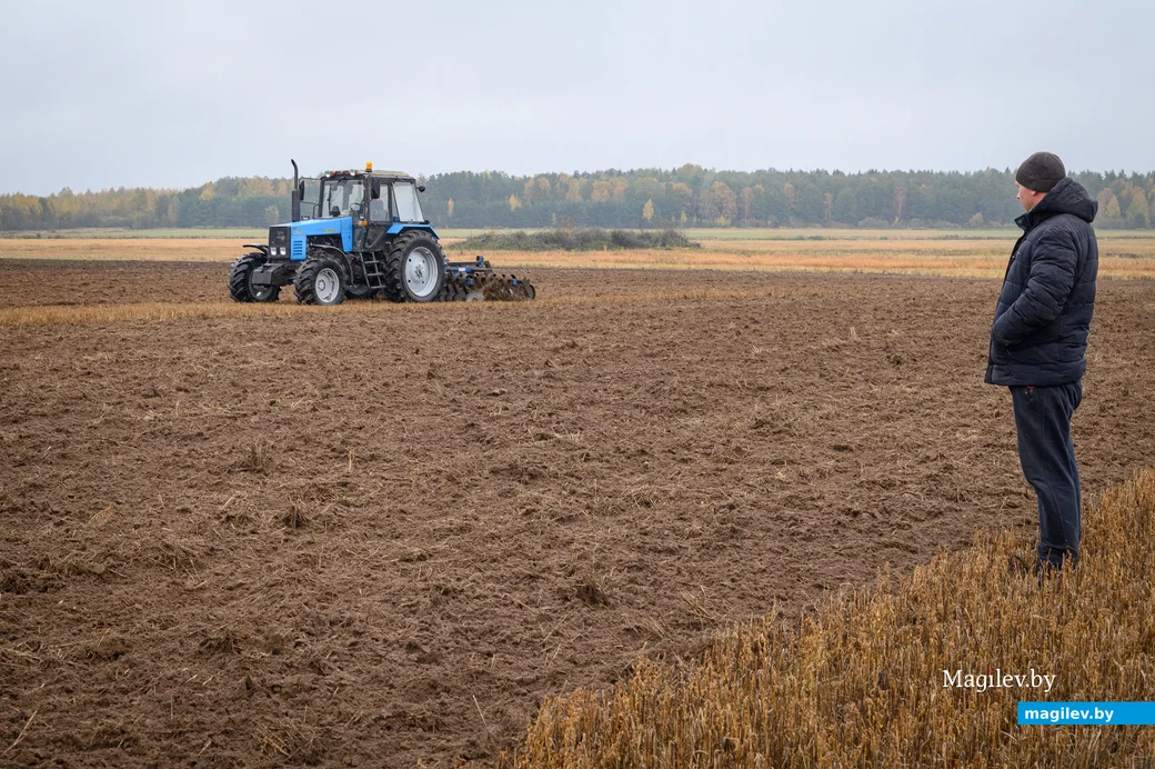 20.10.2023. Осово, Бобруйский район, Крестьянско-фермерское хозяйство «Гайшун».