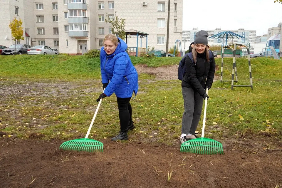 Могилев, 21 октября 2023 года. Городской субботник. Фото: Екатерина Льдова, vestnikmogileva.by.