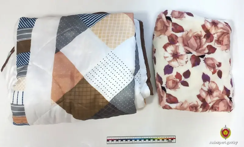 Пожилая женщина переплатила за эти покупки в три раза. Фото: ГКСЭ по Могилевской области