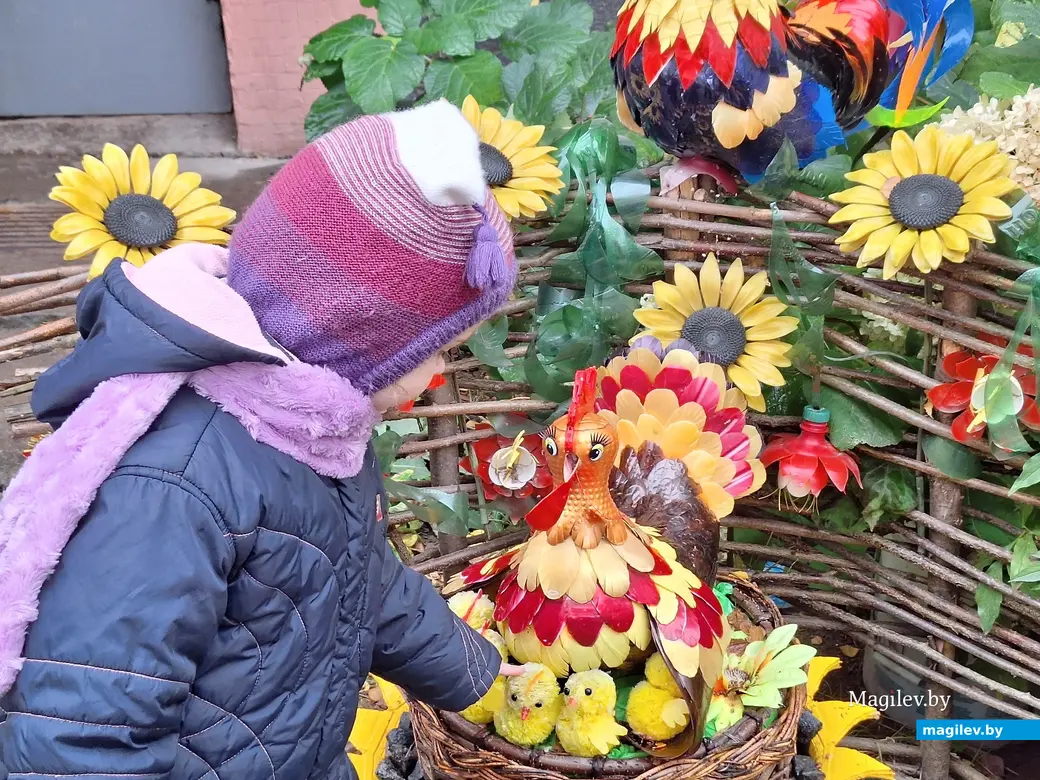 Октябрь 2023 г. Могилев, ул.Турова, 6.