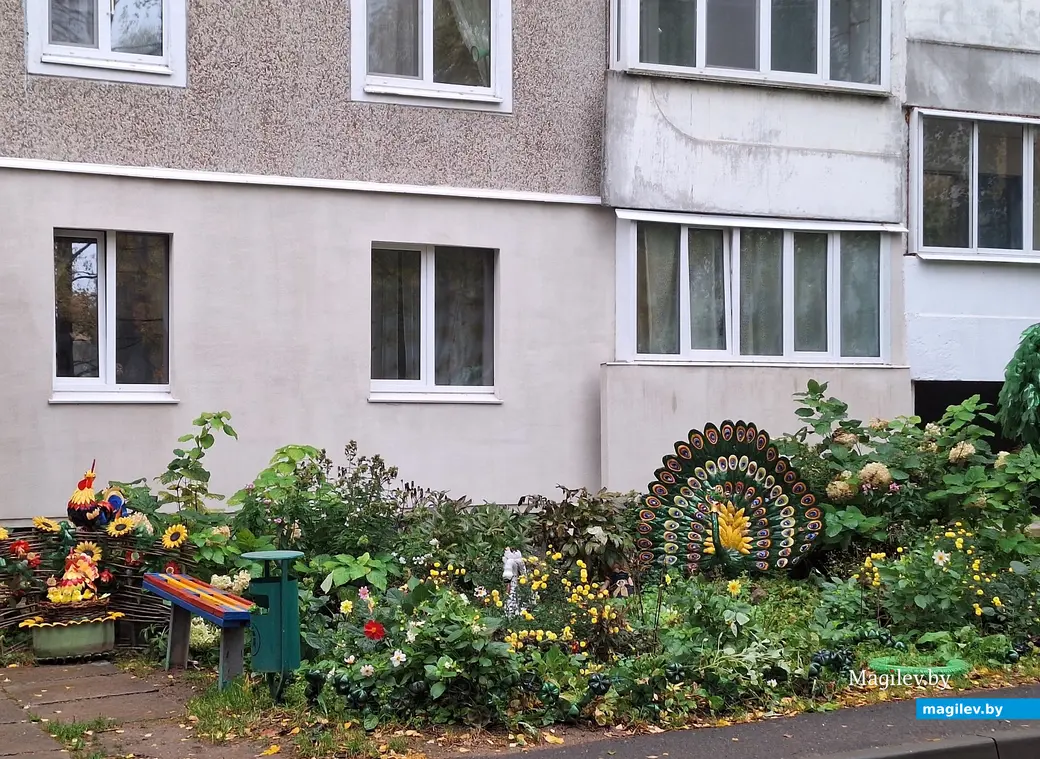 Октябрь 2023 г. Могилев, ул.Турова, 6.