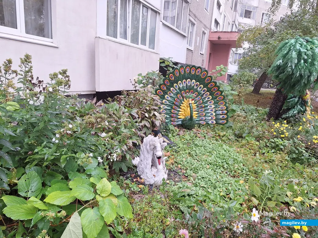 Октябрь 2023 г. Могилев, ул.Турова, 6.