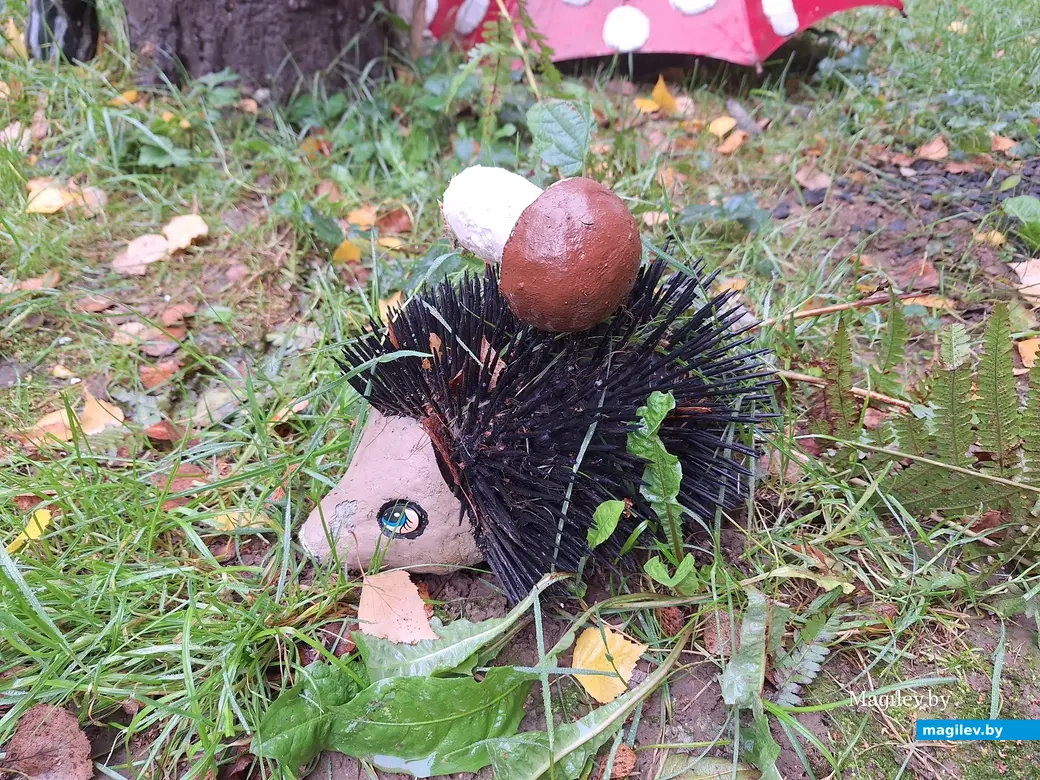 Октябрь 2023 г. Могилев, ул.Турова, 6.