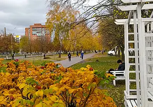 В воскресенье похолодает: прогноз погоды с 26 по 29 сентября в Могилеве