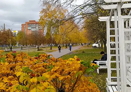 Возможен небольшой дождь: какой будет погода в Могилеве 16 октября