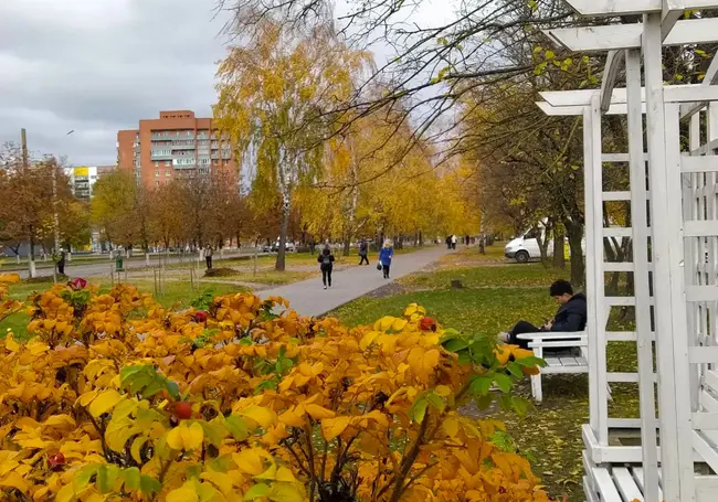 Последние яркие краски осени в Могилеве. Фотопрогулка