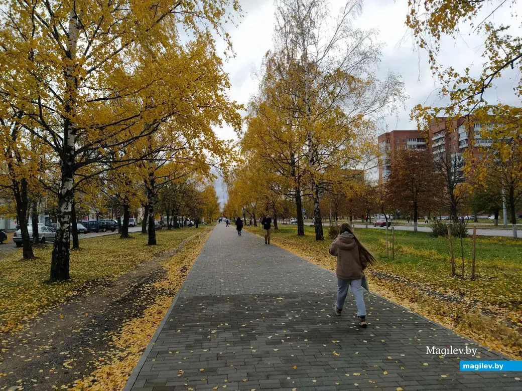 Последние яркие краски осени в Могилеве. Октябрь 2023 год.