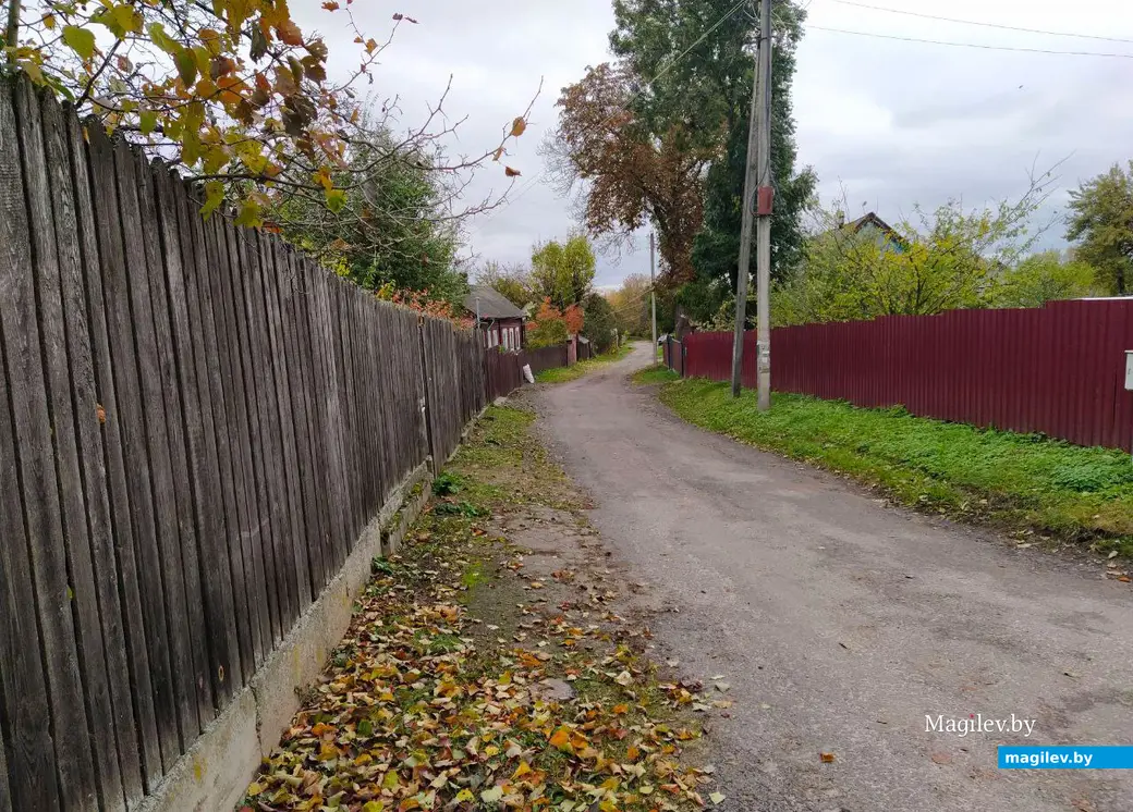 Последние яркие краски осени в Могилеве. Октябрь 2023 год.