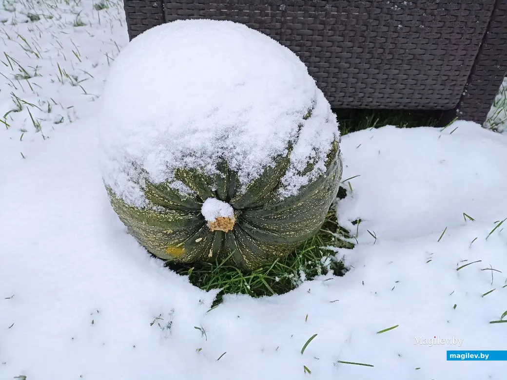 26 октября 2023г. В Могилеве выпал первый снег.