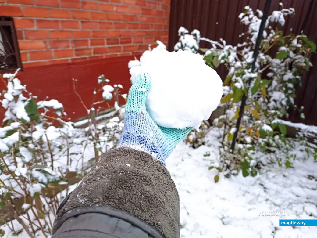 26 октября 2023г. В Могилеве выпал первый снег.