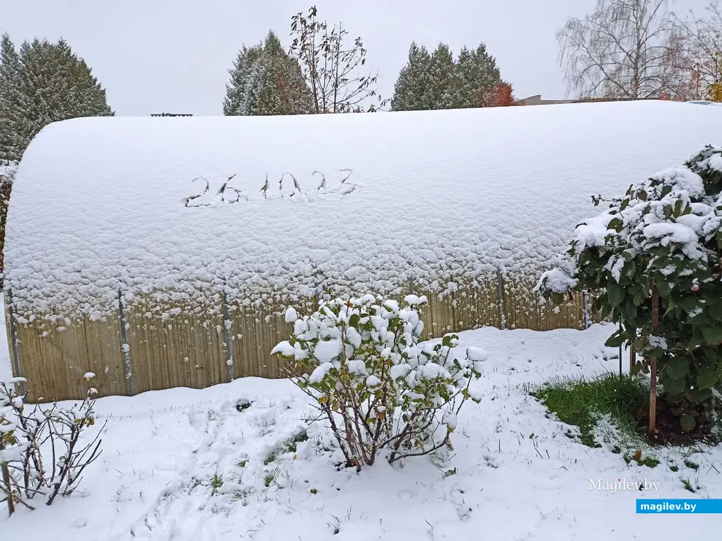 26 октября 2023г. В Могилеве выпал первый снег.