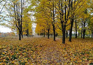 Тепло еще будет: прогноз погоды на 28-30 октября