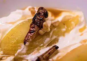 Еду из сверчков начали делать в России. Пишут, что очень полезная