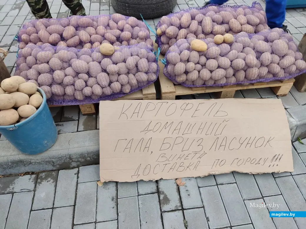 Что почем на сельхозярмарке по улице Златоустовской? Могилев, 29.10.2023 г.