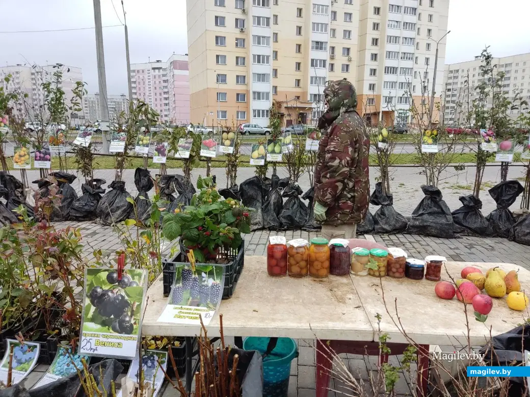 Что почем на сельхозярмарке по улице Златоустовской? Могилев, 29.10.2023 г.