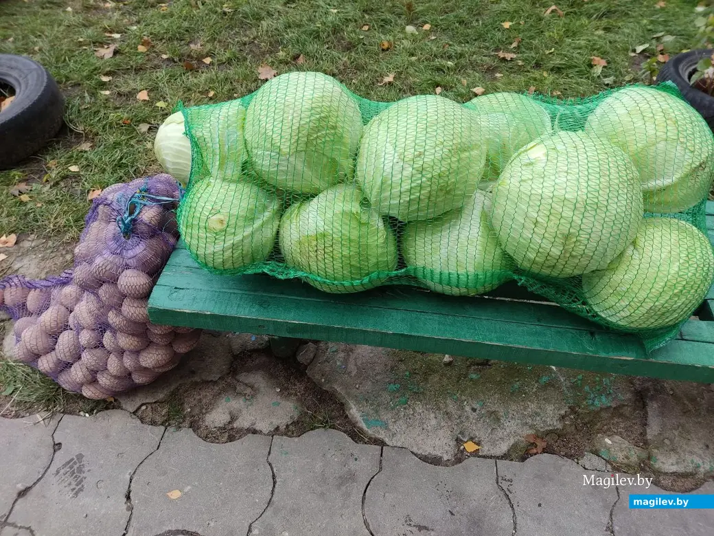 Что почем на сельхозярмарке по улице Златоустовской? Могилев, 29.10.2023 г.