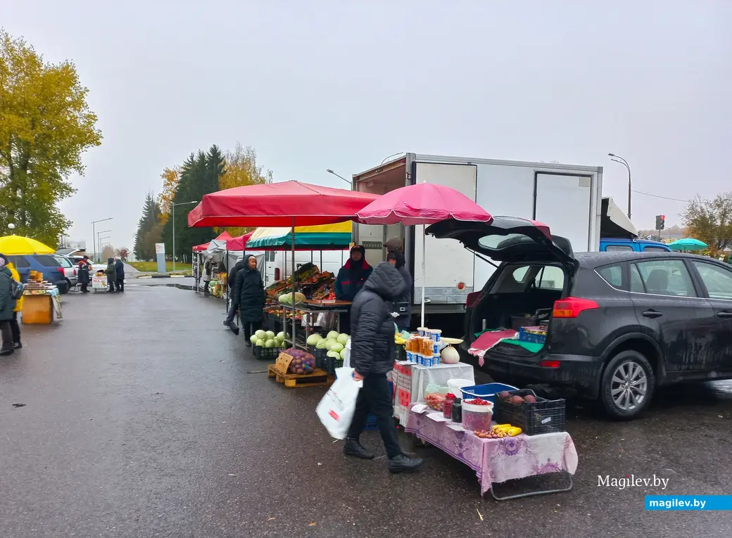 Ярмарка в Казимировке. Могилев, 27.10.2023 г.