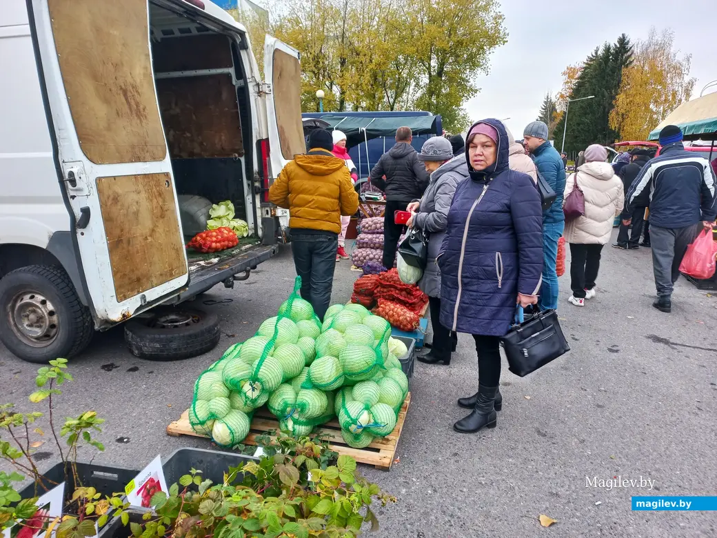 Ярмарка в Казимировке. Могилев, 29.10.2023 г.