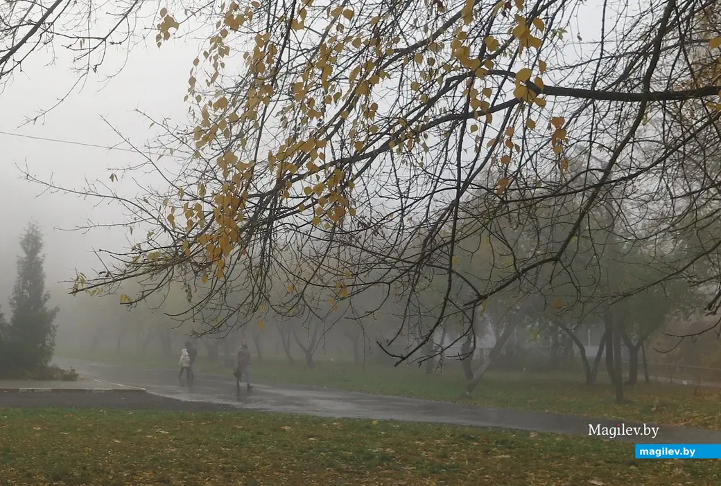 30 октября 2023 г. Могилев накрыл густой туман.