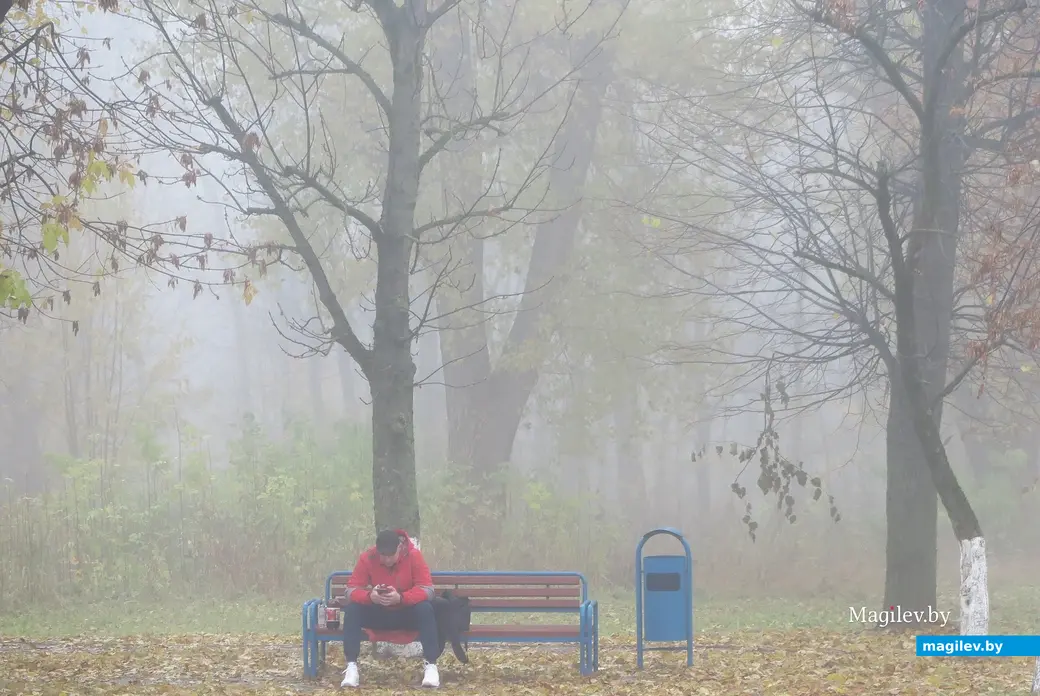 30 октября 2023 г. Могилев накрыл густой туман.