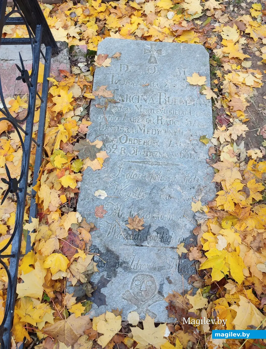 Польское кладбище в Могилеве. 29.10.2023 г.