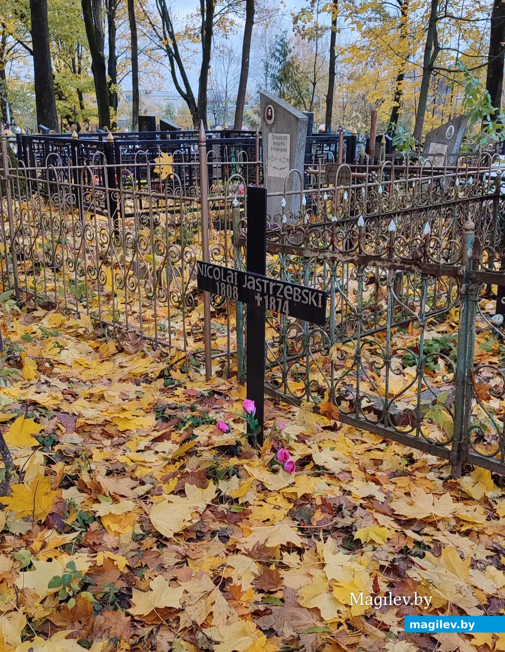 Польское кладбище в Могилеве. 29.10.2023 г. Могила ученого-механика Николая Ястржембского.