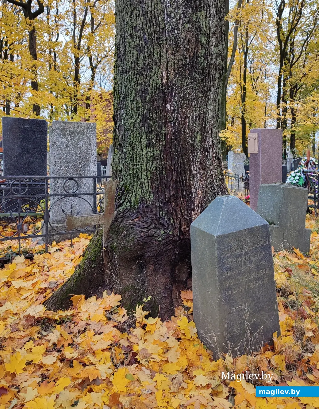 Польское кладбище в Могилеве. 29.10.2023 г.