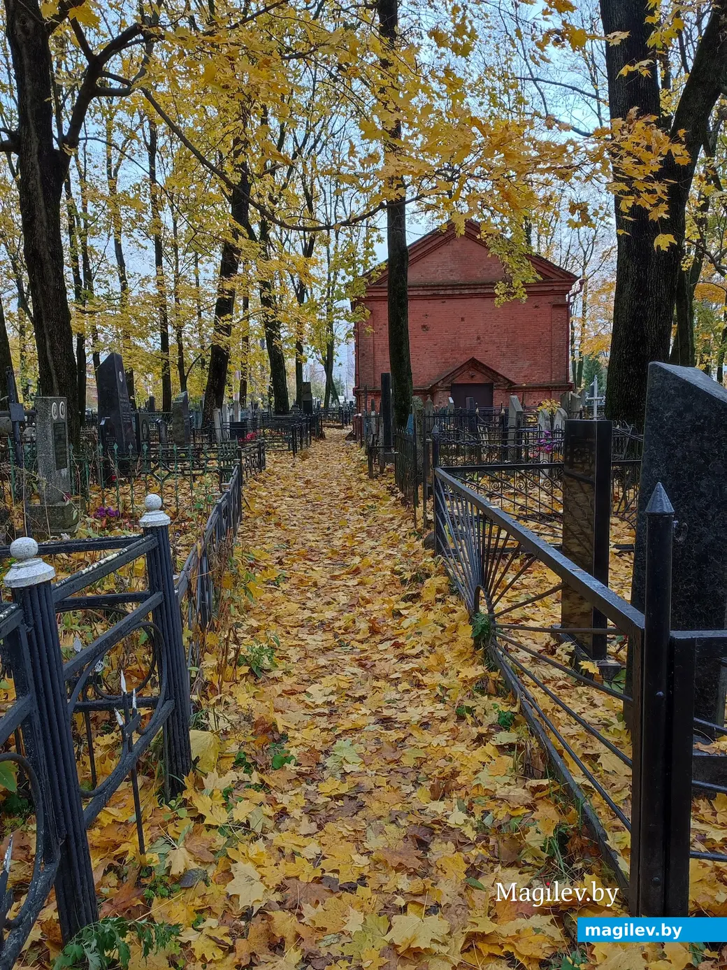 Польское кладбище в Могилеве. 29.10.2023 г.