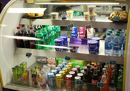 Где прямо сейчас нужны работники? Подборка актуальных вакансий в Могилеве