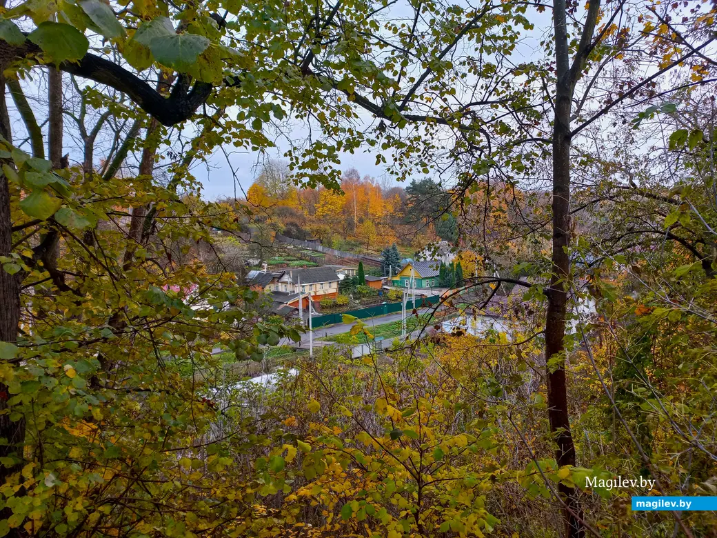 Переулок Буянова все свои тайны нам еще не открыл. Могилев, 01.11.2023 г.